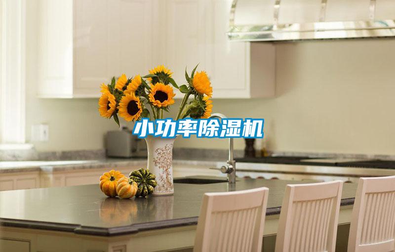 小功率麻豆视频黄网站