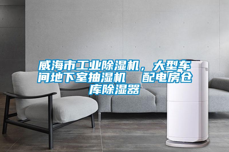 威海市工业麻豆视频黄网站，大型车间地下室抽湿机  配电房仓库除湿器