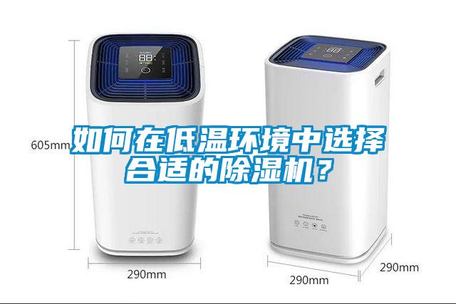 如何在低温环境中选择合适的麻豆视频黄网站？