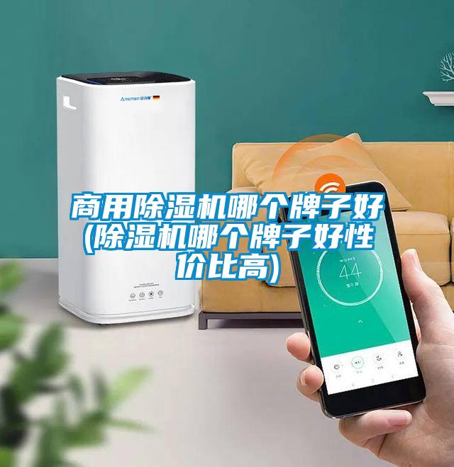 商用麻豆视频黄网站哪个牌子好(麻豆视频黄网站哪个牌子好性价比高)