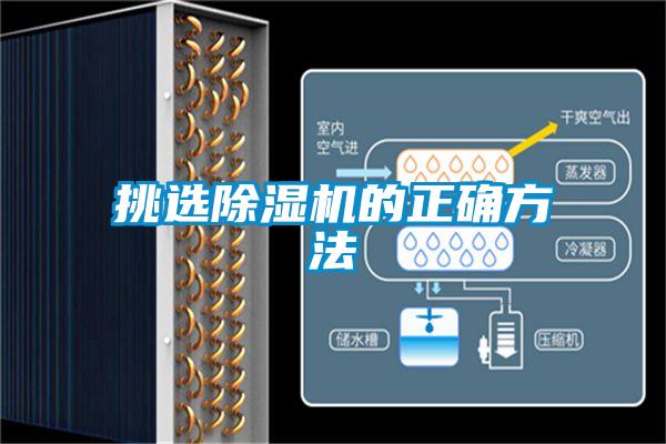 挑选麻豆视频黄网站的正确方法
