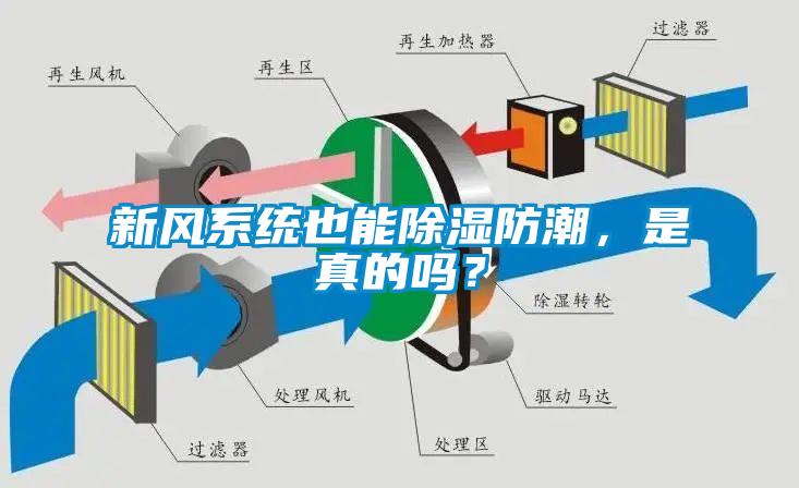 新风系统也能除湿防潮，是真的吗？