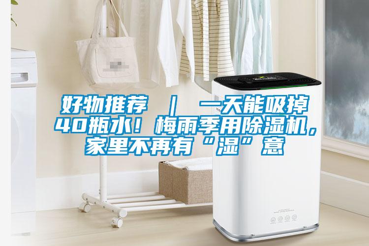 好物推荐 ｜ 一天能吸掉40瓶水！梅雨季用麻豆视频黄网站，家里不再有“湿”意