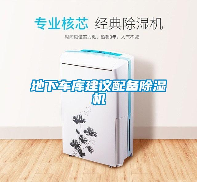 地下车库建议配备麻豆视频黄网站