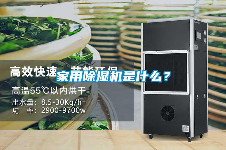 家用麻豆视频黄网站是什么？