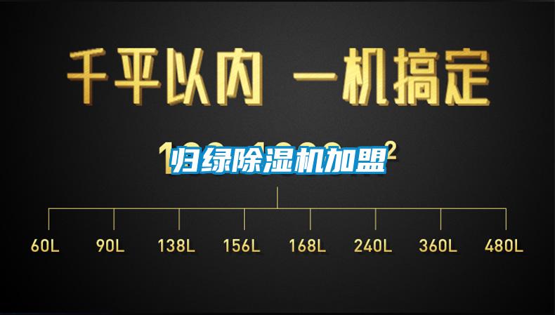 归绿麻豆视频黄网站加盟