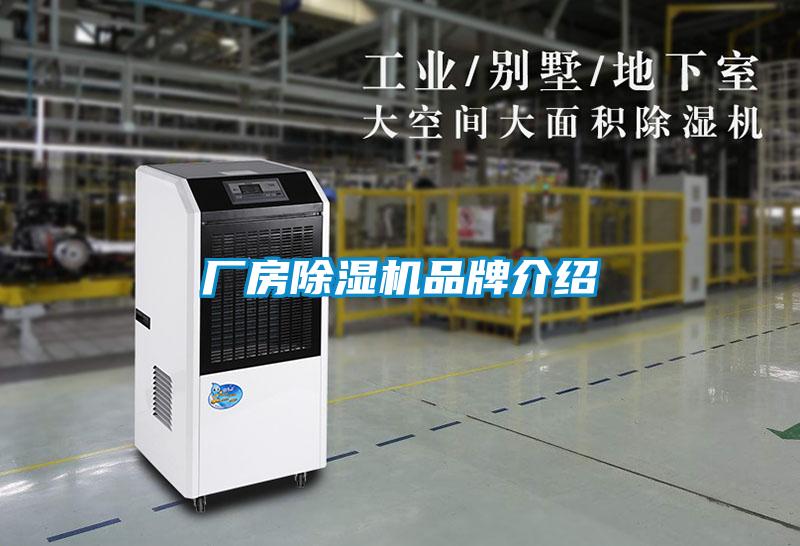 厂房麻豆视频黄网站品牌介绍