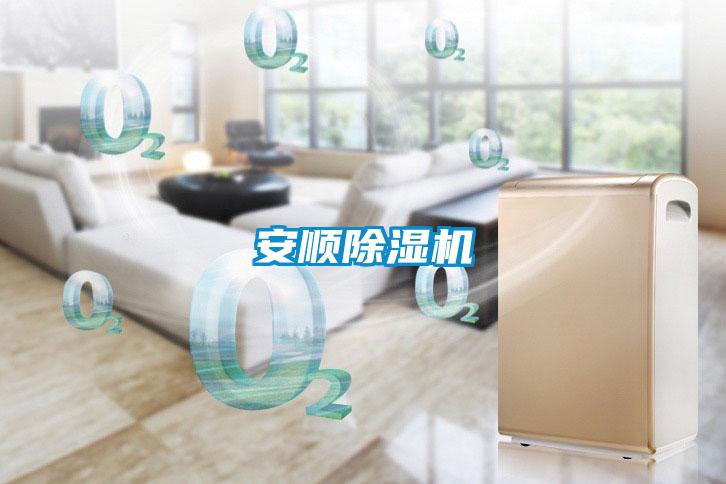 安顺麻豆视频黄网站