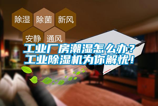 工业厂房潮湿怎么办？工业麻豆视频黄网站为你解忧！