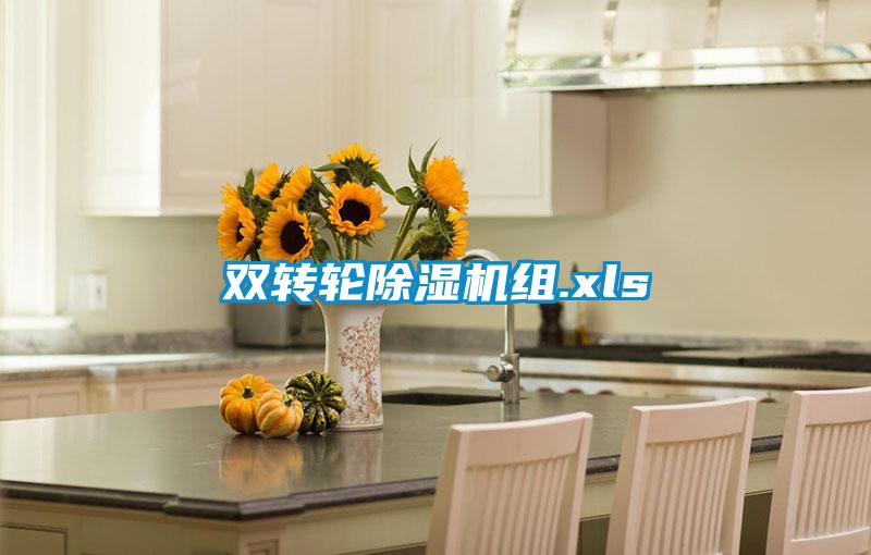 双转轮麻豆视频黄网站组.xls