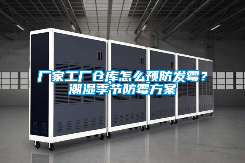 厂家工厂仓库怎么预防发霉？潮湿季节防霉方案