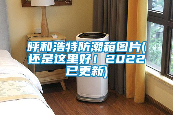 呼和浩特防潮箱图片(还是这里好！2022已更新)