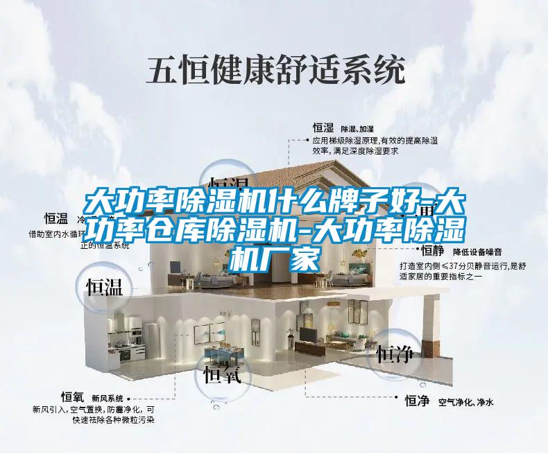 大功率麻豆视频黄网站什么牌子好-大功率仓库麻豆视频黄网站-大功率麻豆视频黄网站厂家