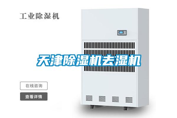 天津麻豆视频黄网站去湿机