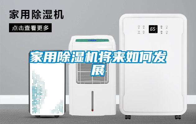 家用麻豆视频黄网站将来如何发展
