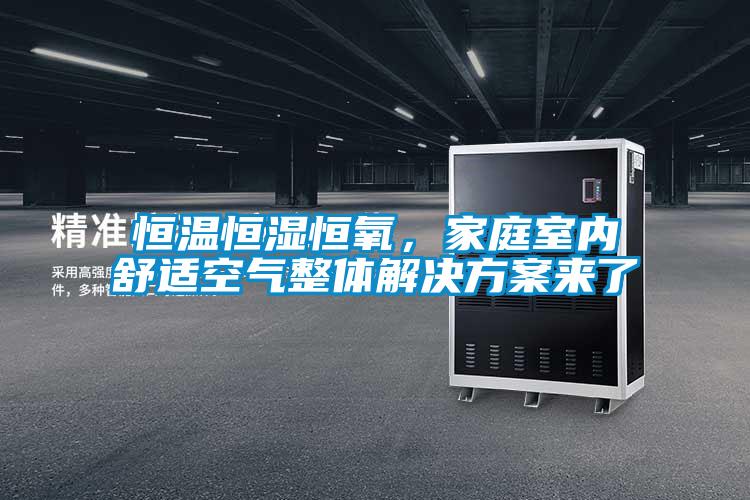 恒温恒湿恒氧，家庭室内舒适空气整体国产麻豆剧果冻传媒星空视频来了