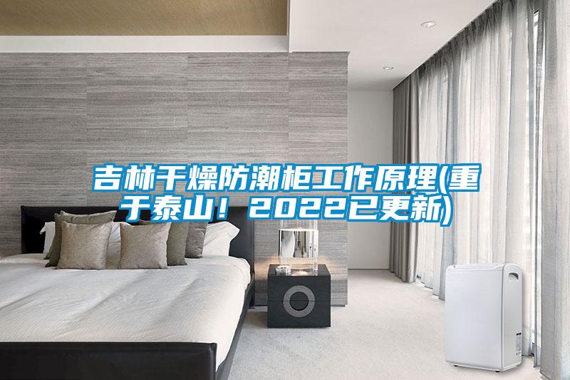 吉林干燥防潮柜工作原理(重于泰山！2022已更新)