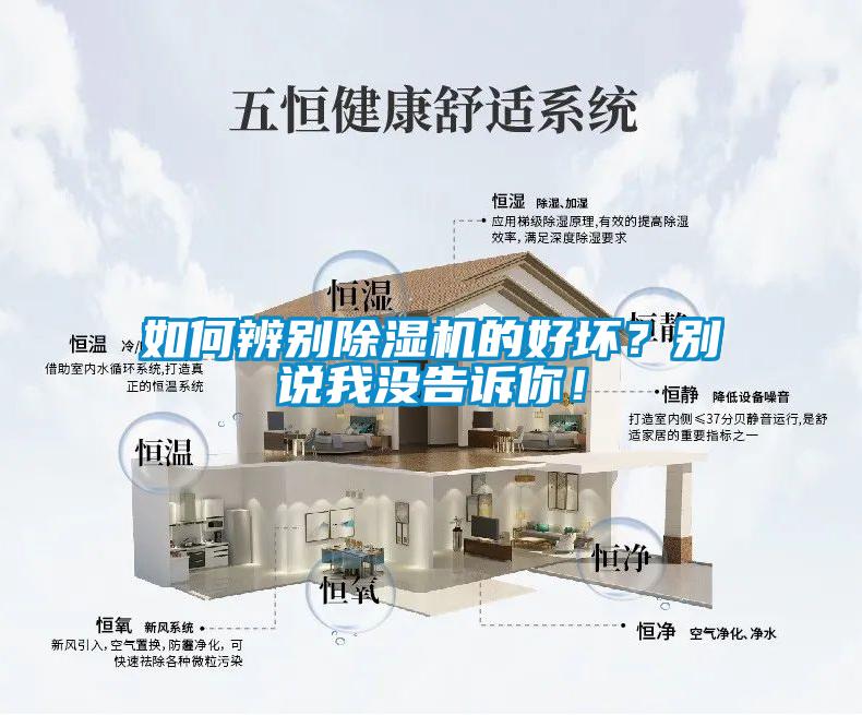 如何辨别麻豆视频黄网站的好坏？别说我没告诉你！
