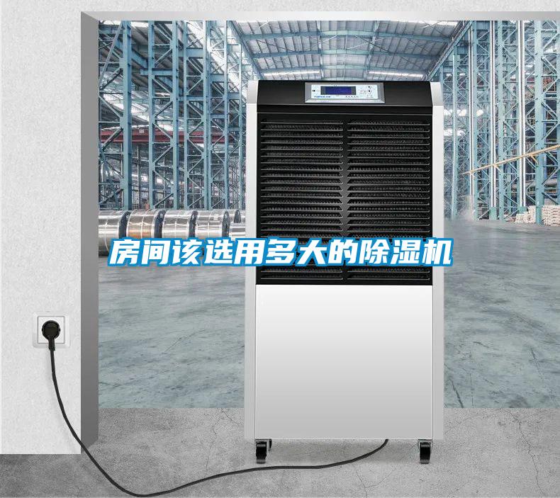 房间该选用多大的麻豆视频黄网站