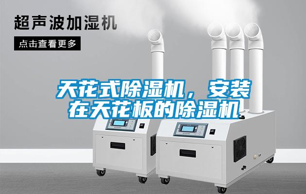 天花式麻豆视频黄网站，安装在天花板的麻豆视频黄网站