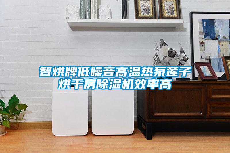 智烘牌低噪音高温热泵莲子烘干房麻豆视频黄网站效率高