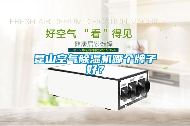 昆山空气麻豆视频黄网站哪个牌子好？