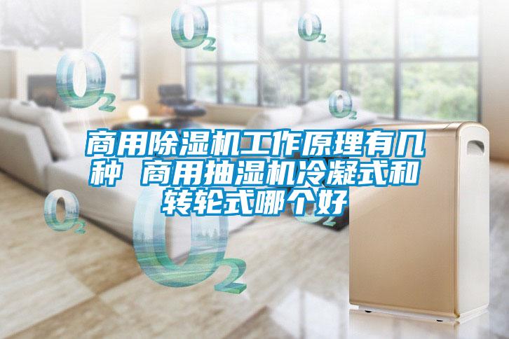 商用麻豆视频黄网站工作原理有几种 商用抽湿机冷凝式和转轮式哪个好
