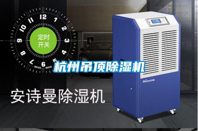 杭州吊顶麻豆视频黄网站