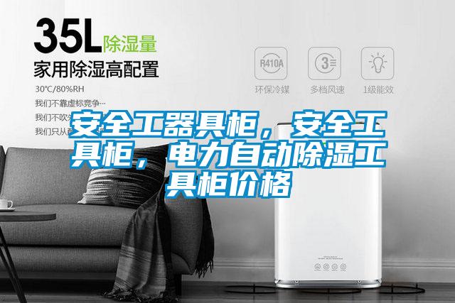 安全工器具柜，安全工具柜，电力自动除湿工具柜价格