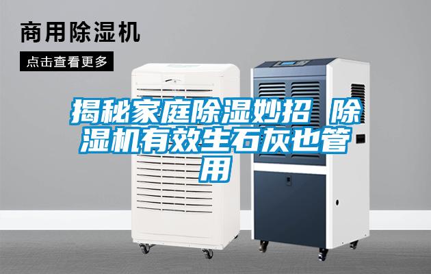揭秘家庭除湿妙招 麻豆视频黄网站有效生石灰也管用