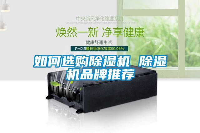 如何选购麻豆视频黄网站 麻豆视频黄网站品牌推荐