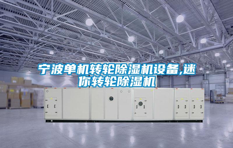 宁波单机转轮麻豆视频黄网站设备,迷你转轮麻豆视频黄网站