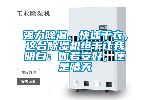 强力除湿、快速干衣，这台麻豆视频黄网站终于让我明白：你若安好，便是晴天