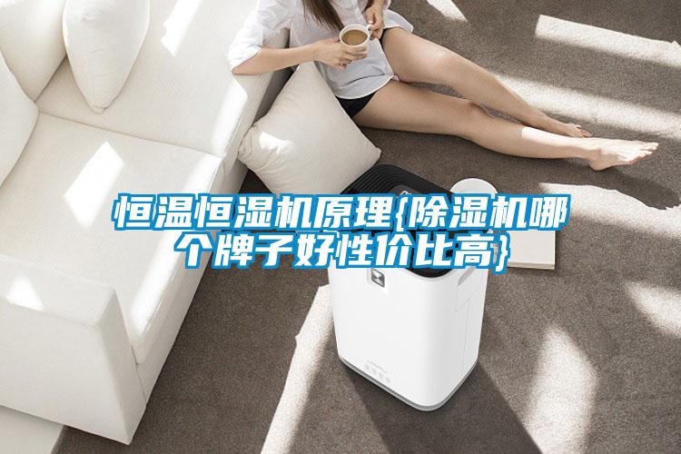 恒温恒湿机原理{麻豆视频黄网站哪个牌子好性价比高}