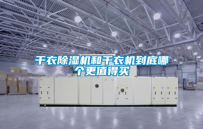 干衣麻豆视频黄网站和干衣机到底哪个更值得买