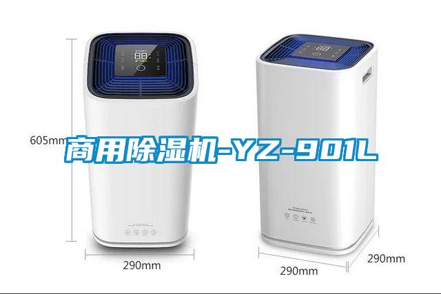 商用麻豆视频黄网站-YZ-901L