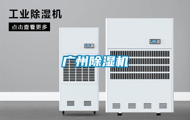 广州麻豆视频黄网站