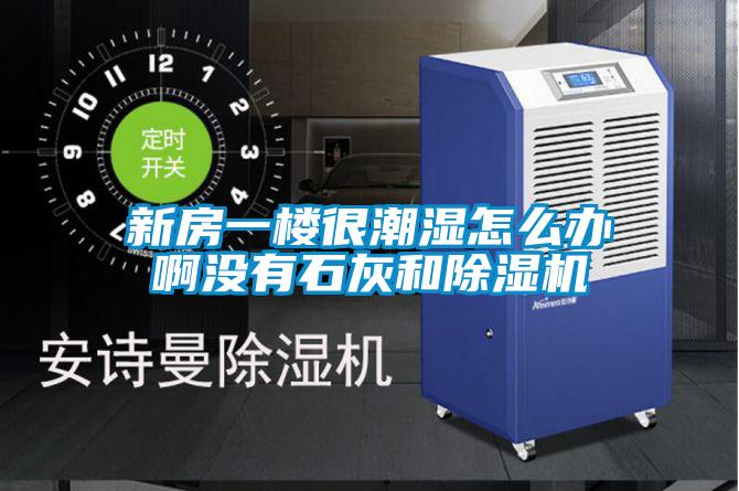 新房一楼很潮湿怎么办啊没有石灰和麻豆视频黄网站