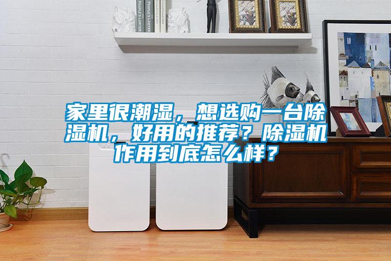 家里很潮湿，想选购一台麻豆视频黄网站，好用的推荐？麻豆视频黄网站作用到底怎么样？