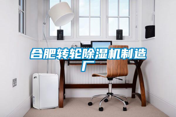 合肥转轮麻豆视频黄网站制造厂