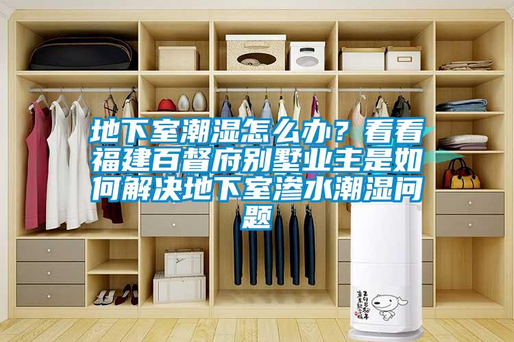 地下室潮湿怎么办？看看福建百督府别墅业主是如何解决地下室渗水潮湿问题