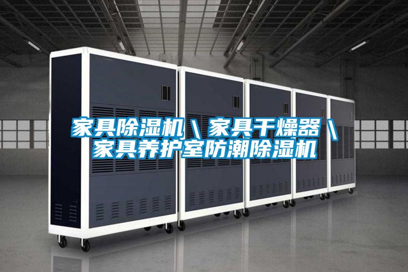 家具麻豆视频黄网站＼家具干燥器＼家具养护室防潮麻豆视频黄网站
