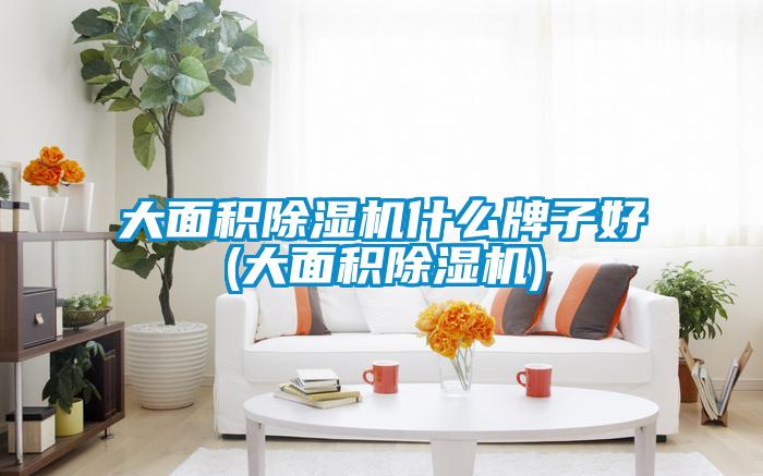 大面积麻豆视频黄网站什么牌子好(大面积麻豆视频黄网站)
