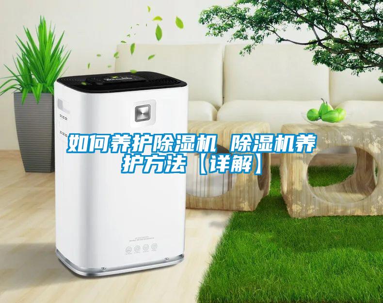 如何养护麻豆视频黄网站 麻豆视频黄网站养护方法【详解】