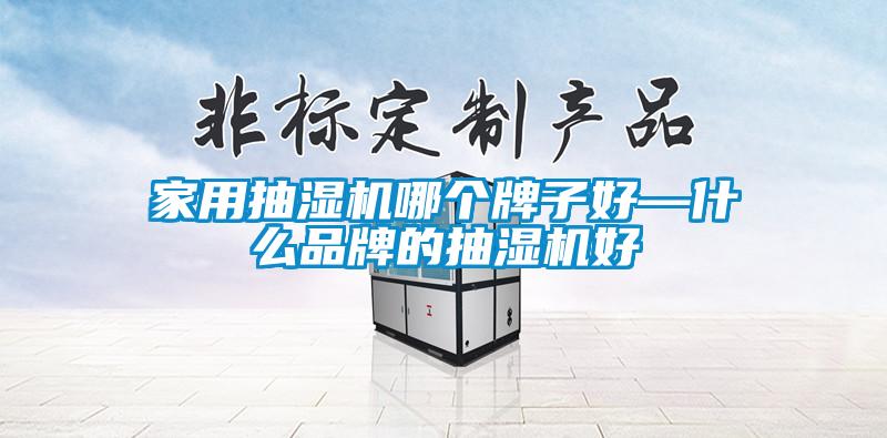 家用抽湿机哪个牌子好—什么品牌的抽湿机好