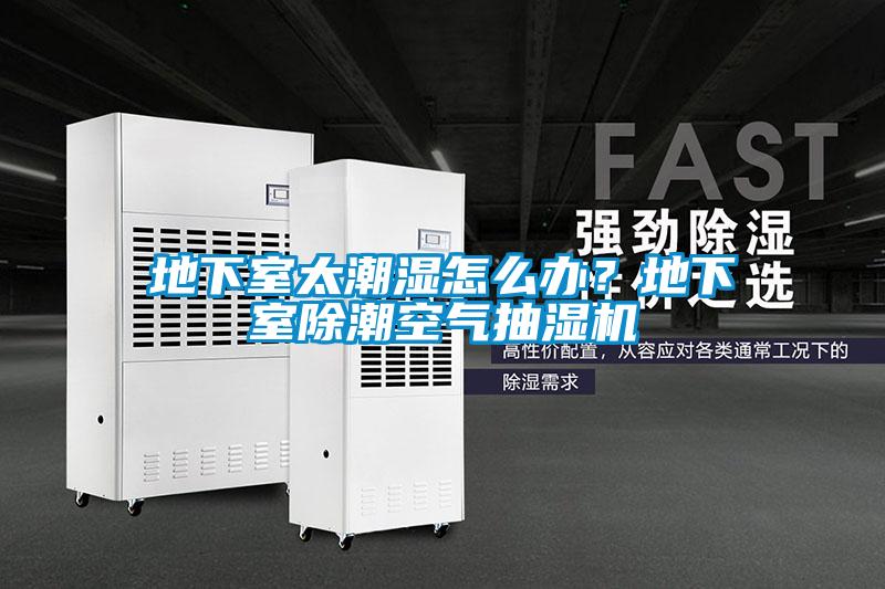 地下室太潮湿怎么办？地下室除潮空气抽湿机