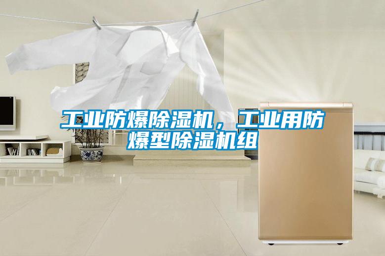 工业防爆麻豆视频黄网站，工业用防爆型麻豆视频黄网站组