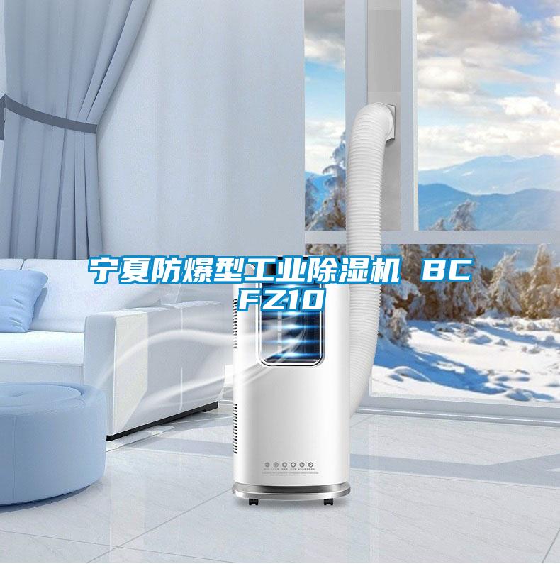 宁夏防爆型工业麻豆视频黄网站 BCFZ10