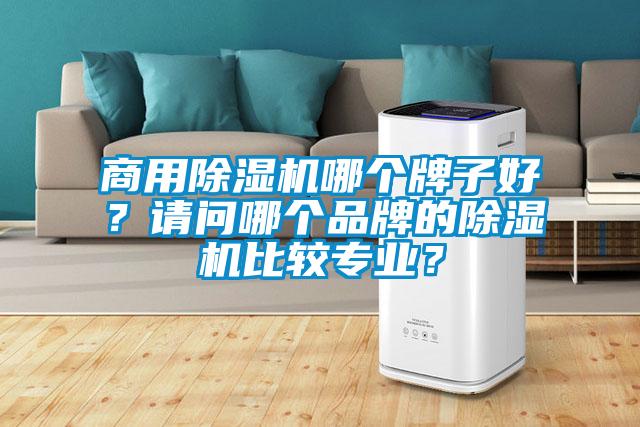 商用麻豆视频黄网站哪个牌子好？请问哪个品牌的麻豆视频黄网站比较专业？