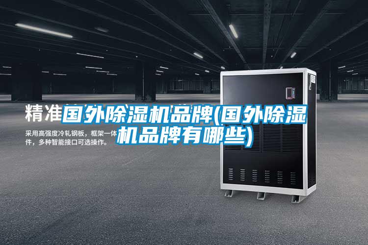 国外麻豆视频黄网站品牌(国外麻豆视频黄网站品牌有哪些)